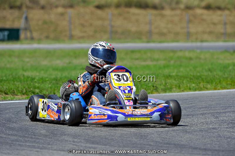 DSC_ (1466).jpg
